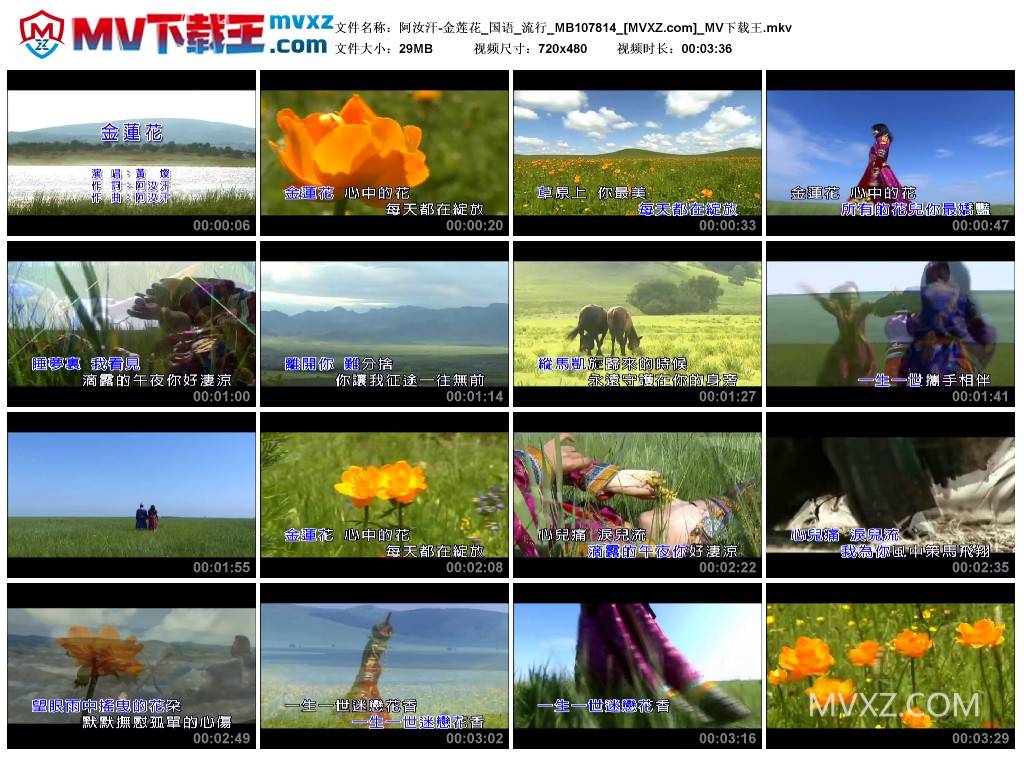 阿汝汗-金莲花_国语_流行_MB107814